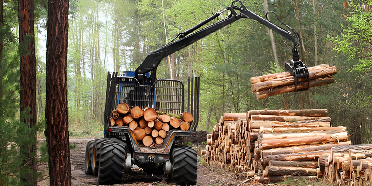 Afyon Kereste. Afyon ve bölgesi keresteci. En uygun afyon kereste firması. PlyWood kereste. Maden Direği Kereste. Afyon Keresteci. İnşaat Kerestesi. Çıkma Kereste.