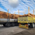 Afyon Kereste. Afyon ve bölgesi keresteci. En uygun afyon kereste firması. PlyWood kereste. Maden Direği Kereste. Afyon Keresteci. İnşaat Kerestesi. Çıkma Kereste.