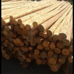 Afyon Kereste. Afyon ve bölgesi keresteci. En uygun afyon kereste firması. PlyWood kereste. Maden Direği Kereste. Afyon Keresteci. İnşaat Kerestesi. Çıkma Kereste.