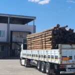 Afyon Kereste. Afyon ve bölgesi keresteci. En uygun afyon kereste firması. PlyWood kereste. Maden Direği Kereste. Afyon Keresteci. İnşaat Kerestesi. Çıkma Kereste.