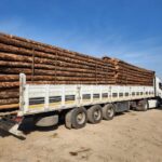 Afyon Kereste. Afyon ve bölgesi keresteci. En uygun afyon kereste firması. PlyWood kereste. Maden Direği Kereste. Afyon Keresteci. İnşaat Kerestesi. Çıkma Kereste.